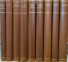 Load image into Gallery viewer, King Lear