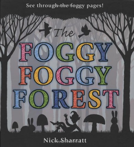 Foggy Foggy Forest