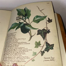 Load image into Gallery viewer, The Country Diary of an Edwardian Lady

