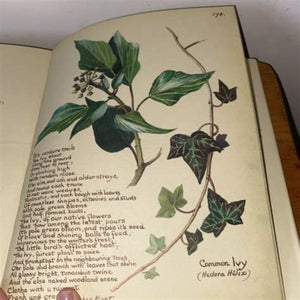 The Country Diary of an Edwardian Lady