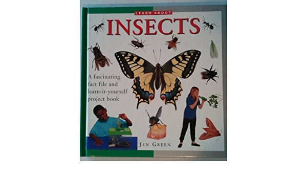 Learn about Insects