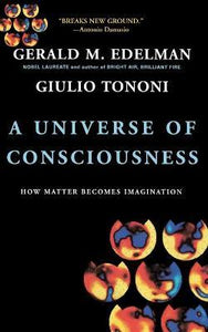 A Universe Of Consciousness