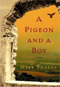 Pigeon and a Boy