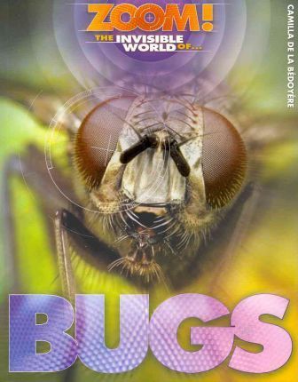 The Invisible World of Bugs