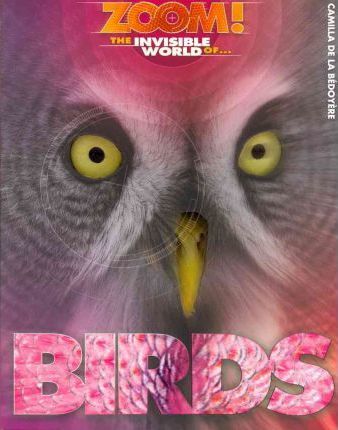 Zoom! the Invisible World of Birds