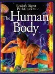 The Human Body